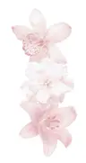 Profile picture of ☆*: .。.emilyy .。.:*☆