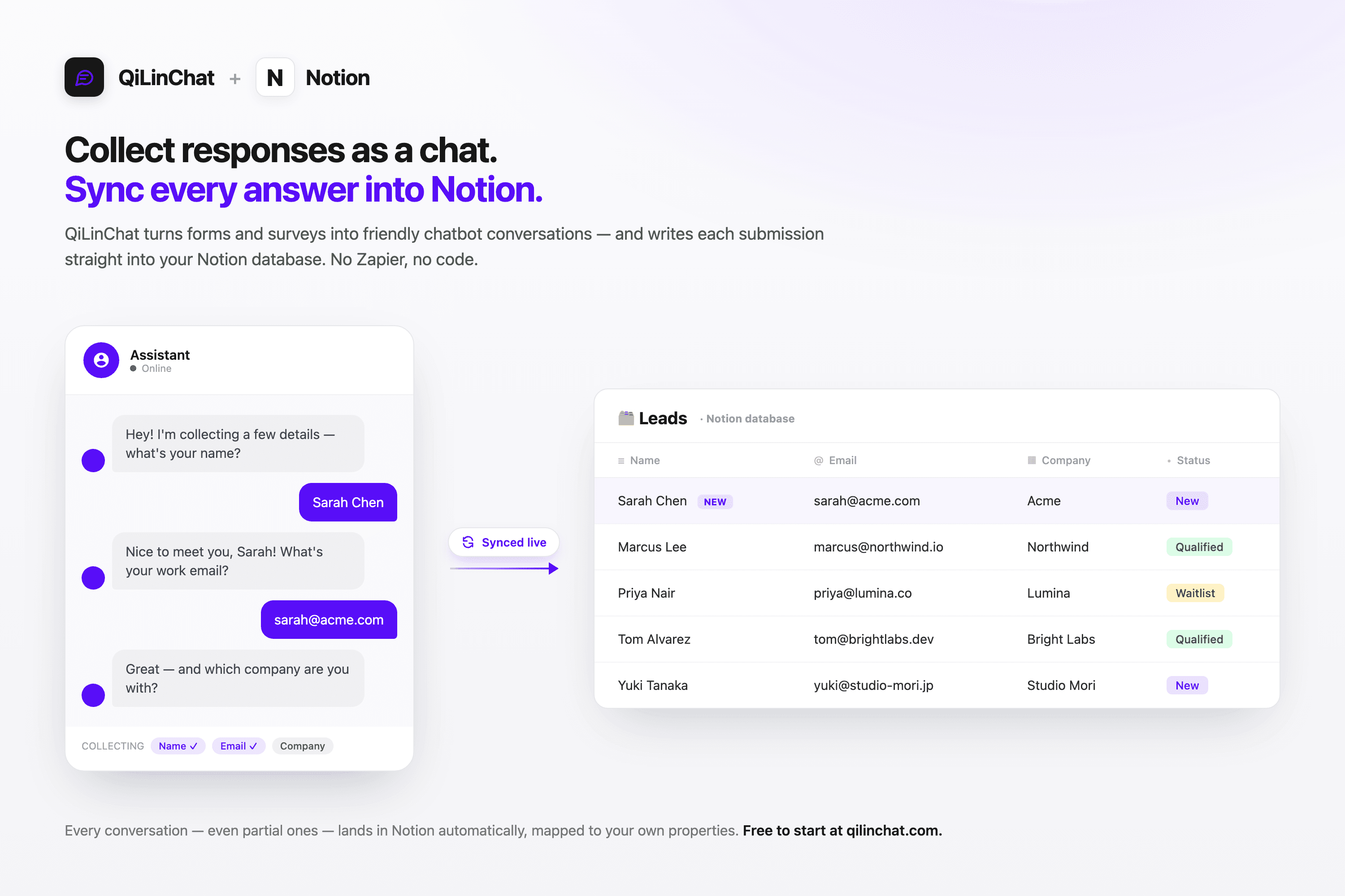 Turn forms and surveys into chatbot conversations that sync to Notion.