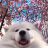 Profile picture of Vix Clotet