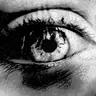 EYEBALL COMPANY님의 프로필 사진