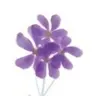 Profile picture of Grace's Corners