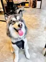 小漁兒 的個人檔案照片