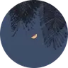 Profile picture of Pikt