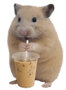 Profile picture of Zynrae
