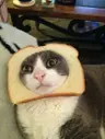 Imagen de perfil de xiaoismyhome