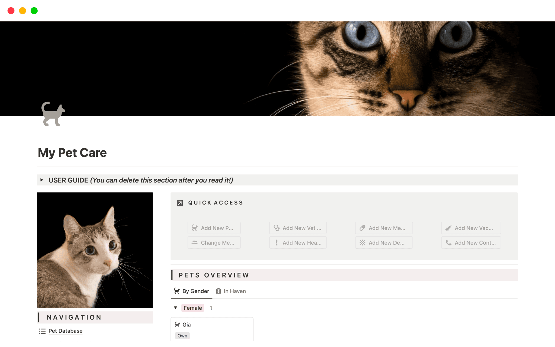 Image for top-8-free-pets-templates-in-notion